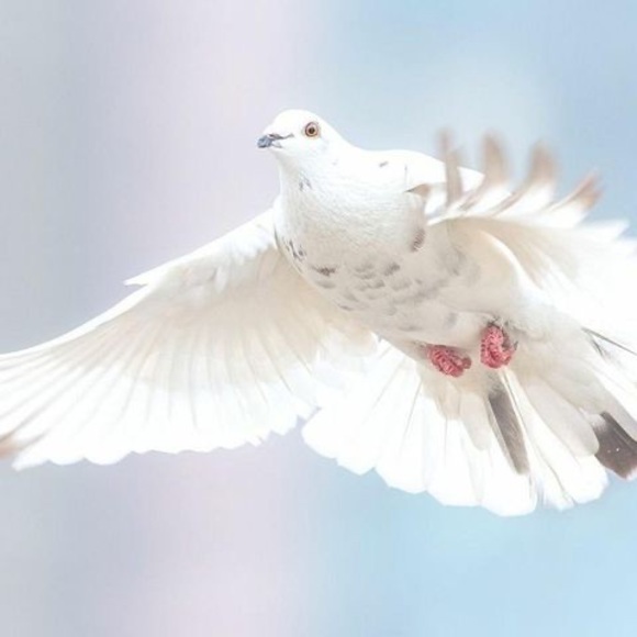 Meet your Posher, Maria - Picture 1 of 1